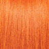 VIVIDS | ORANGE