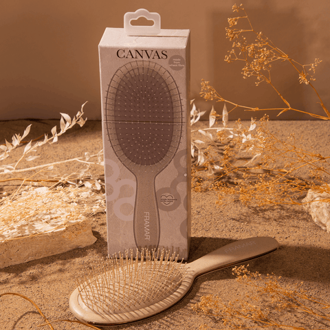 Brosse démélante