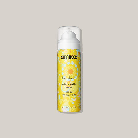 Spray antihumidité The Shield