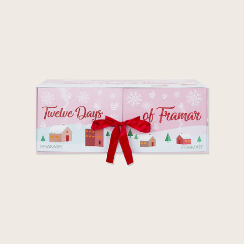 12 Days of Christmas Advent Calendar