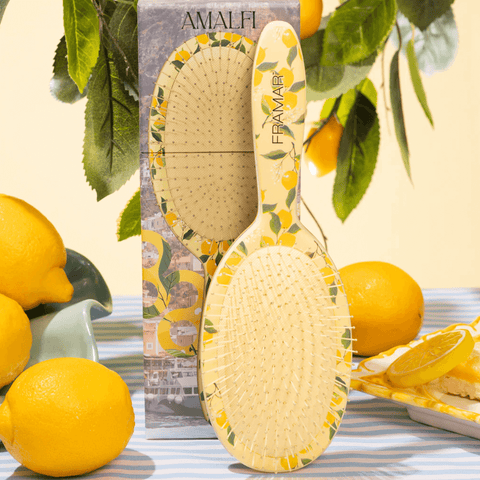 Brosse démélante
