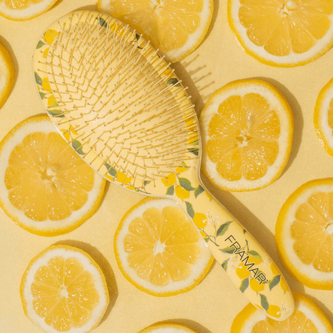 Brosse démélante