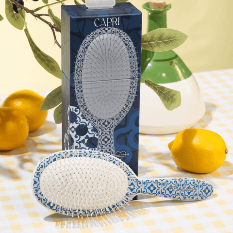 Brosse démélante