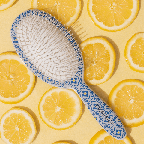 Brosse démélante