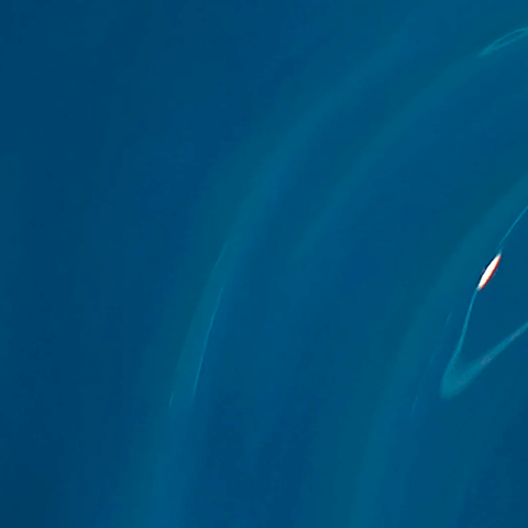 GELCOLOR | Duomo days isola nights | GCMI06 