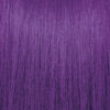 VIVIDS EVERLASTING | VIOLET ROYAL 