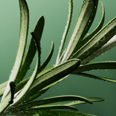 BIOLAGE - Traitement sans rinçage Full Rescue 250 ml