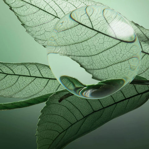 Shampooing anti-pelliculaire Biolage Scalp Sync en litre pour cheveux, flacon blanc avec étiquette verte et bouchon noir