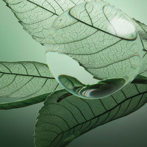 Shampooing fortifiant Biolage Strength Recovery pour cheveux abîmés, bouteille claire avec logo Biolage visible.