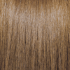 PRAVANA - ChromaSilk