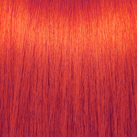 PRAVANA - VIVIDS