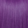 PRAVANA - Vivids