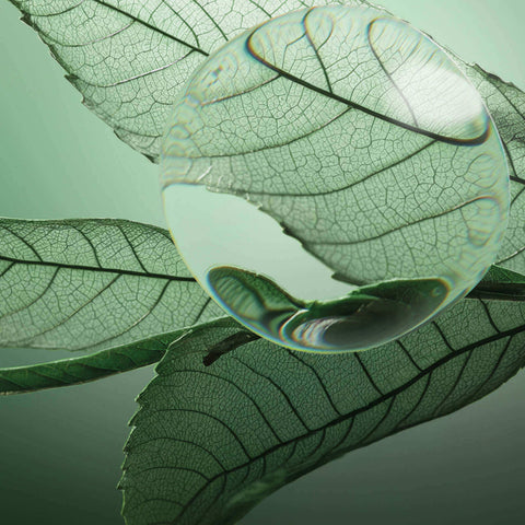 Spray capillaire hydratant Biolage Hydra Source sans rinçage en flacon de 400 ml, pour cheveux nourris et revitalisés.