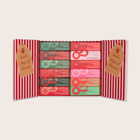 12 Days of Christmas Advent Calendar 2025