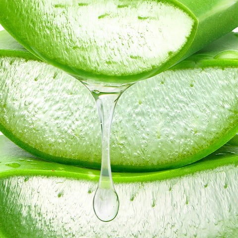 DUO LITRE NIOXIN SHAMP/REV SYSTEME 1 V2