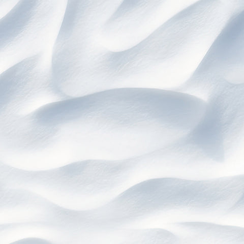 DUO LITRE NIOXIN SHAMP/REV SYSTEME 3 V2