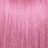 VIVIDS | ROSE 