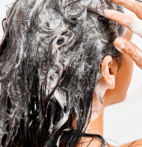 Catégorie - Bouteilles de shampooings